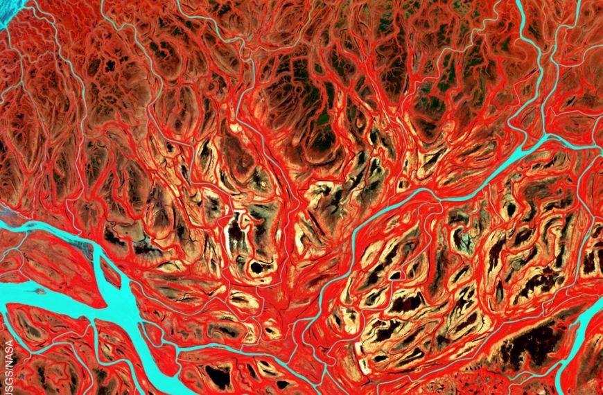 Miguel Ángel Cajigal: ¿El Artista Que Amenazó a la Basílica?