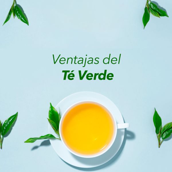 Beneficios del té verde que transformarán tu salud y bienestar