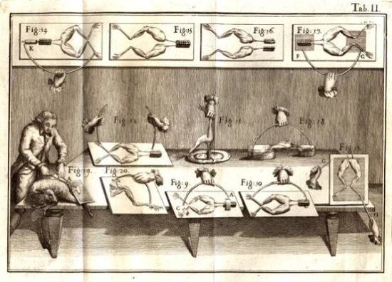 Electricidad Animal: ¿Cómo Las Ranas Condujeron a las Baterías Modernas?