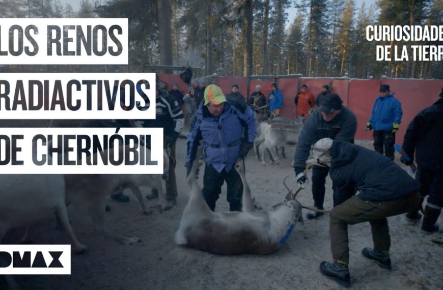 Chernóbil: La curiosa transformación de la zona de exclusión