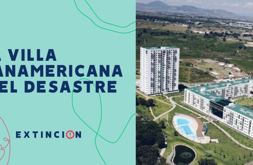 Demanda Colectiva Villa Panamericana: Fallas y Problemas Graves