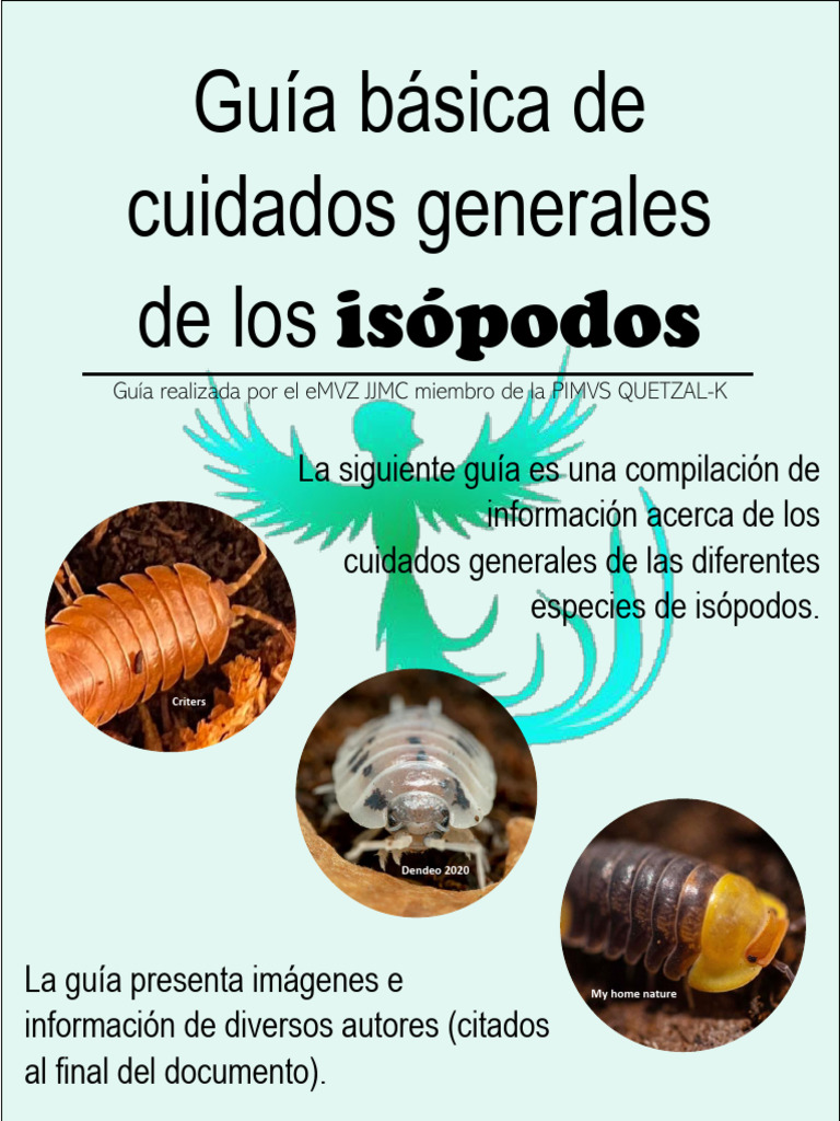 Isópodos gigantes: el curioso gen del ayuno prolongado