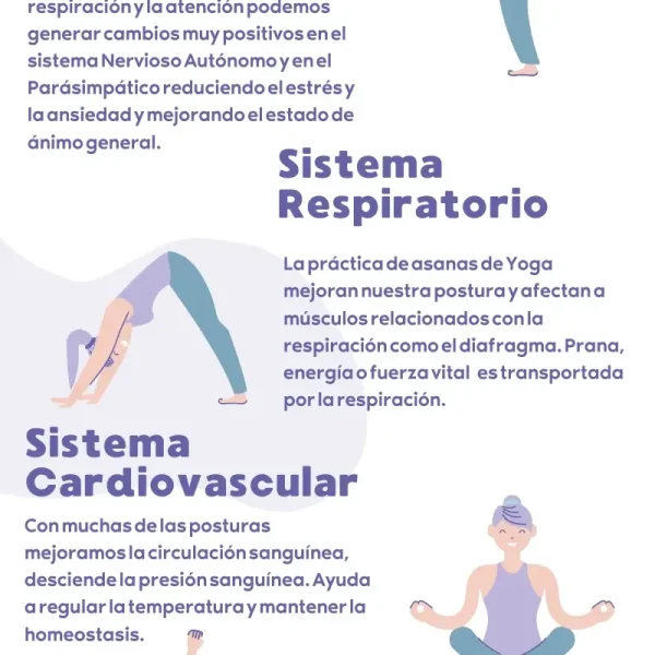 Beneficios del yoga: Cómo la práctica transforma tu bienestar