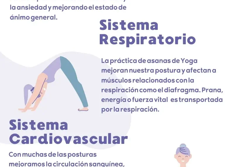 Beneficios del yoga: Cómo la práctica transforma tu bienestar