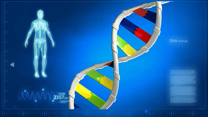 Genética y razas: ¿por qué la biología desmiente mitos raciales?