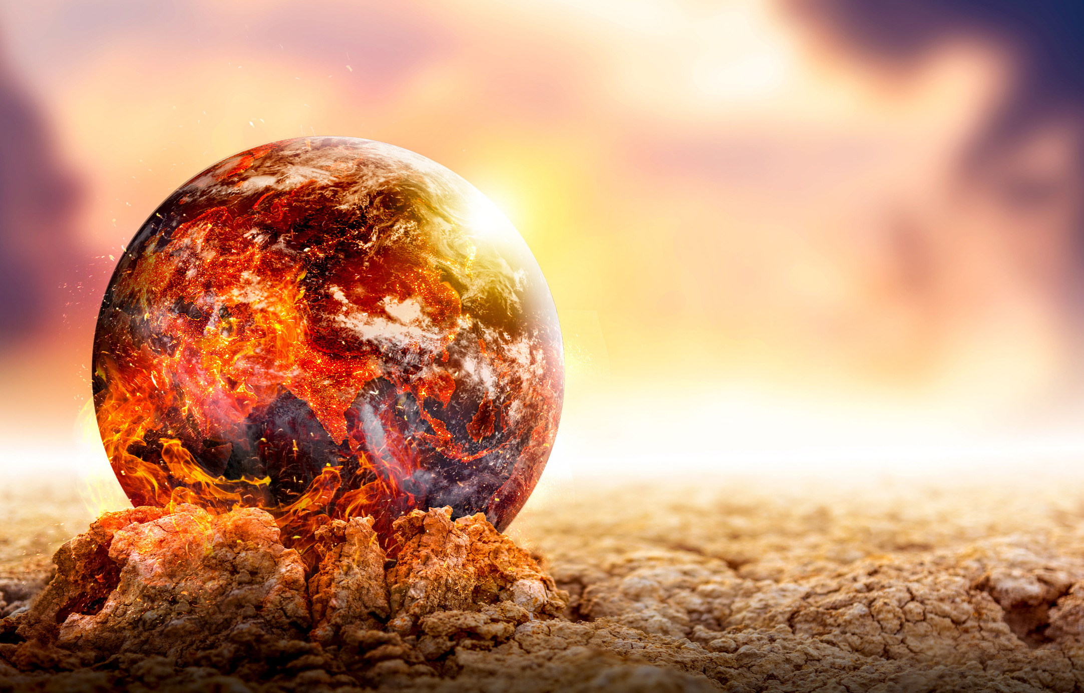 Metano de los Rumiantes: Clave para Entender el Calentamiento Global