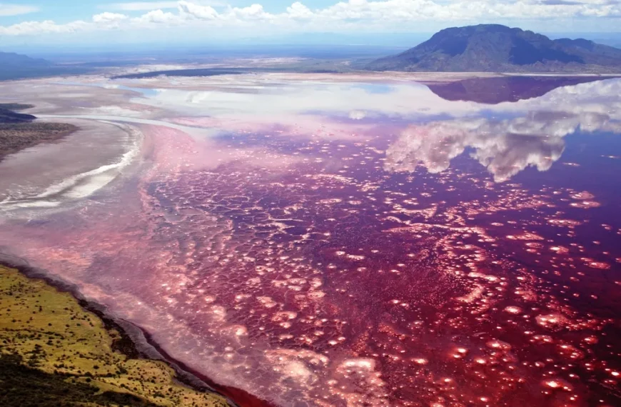 Lago Natrón: El misterio del lago rojo entre volcanes