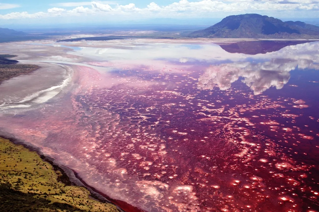 Lago Natrón: El misterio del lago rojo entre volcanes