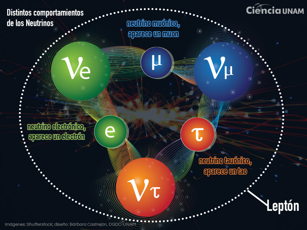 Neutrinos y su visión de los secretos del manto terrestre