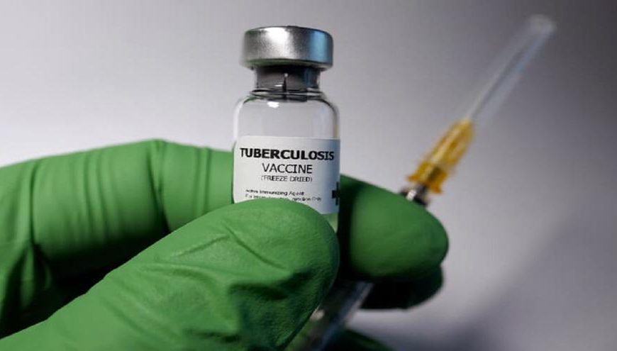 Vacuna terapéutica contra la tuberculosis: Un avance revolucionario